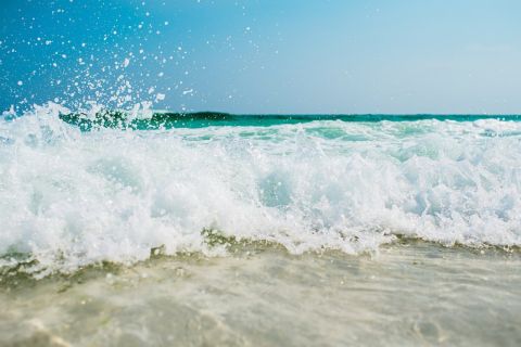 Азовское море стало богаче на рыбу