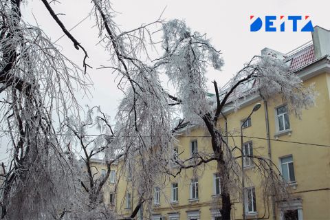 Снег в Приморье пойдет на убыль