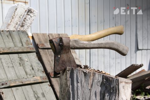 Депутаты намерены ввести выплату для пожилых на покупку дров