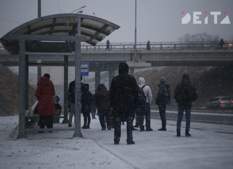 Снежный циклон не принёс климатических аномалий Приморью - Примгидромет