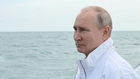 Путин поручил Кожемяко разобраться с акулами