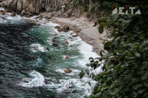 Путину напомнили про круглогодичный морской курорт в Приморье