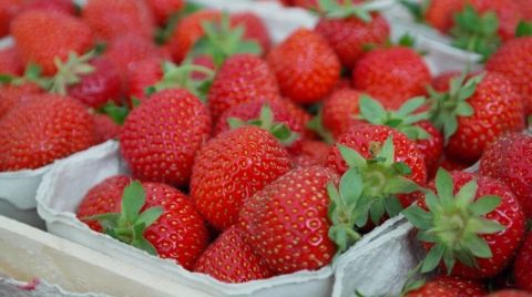 Налетай: вкуснейшая ягода начала лета упала в цене