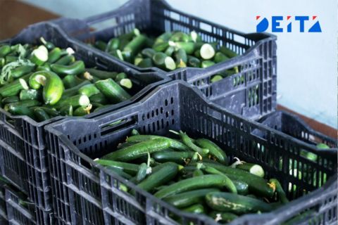 «Агроагрегаторы» создадут в России 