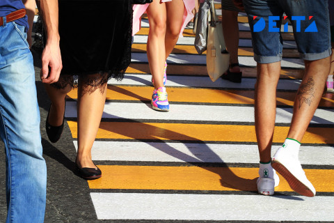 В России зафиксировали всплеск опасного вида мошенничества