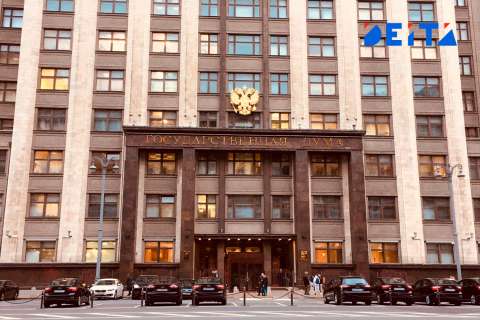 Бурматов пообещал тюрьму для хозяев океанариума на о. Русский