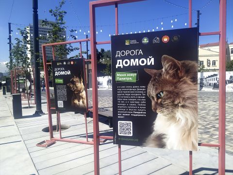 Жители Владивостока оценили фотовыставку «Дорога домой»