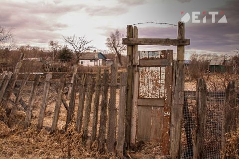 Дачникам с осени грозит штраф в 50 тысяч рублей