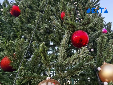 Психологический тест: чего ждать в Новом году?