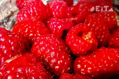 9 советов, которые сохранят здоровье и молодость. Часть 1