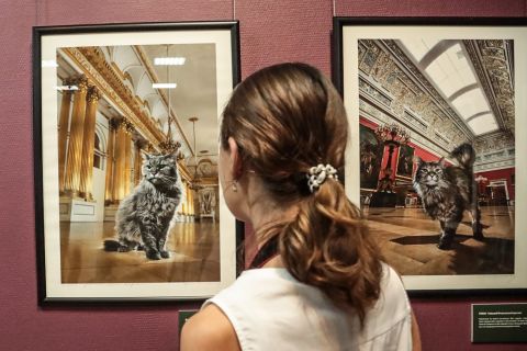 Результат фотосессии для котов, живущих в Эрмитаже, представили во Владивостоке