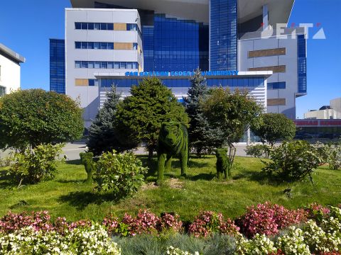 Пожарная тревога и эвакуация: студентам ДВФУ не спалось спокойно
