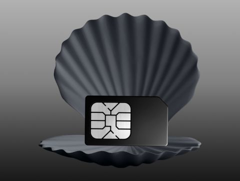 К Новому году: приморские клиенты могут подключиться к Tele2 за полцены и получить премиальный сервис