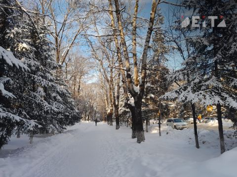 Метеорологи объяснили, каким погодным прогнозам стоит доверять