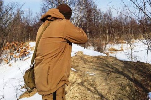 Убийства краснокнижных животных продолжаются в Приморье