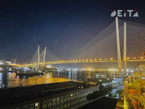 Экстрим-парк и яхт-клуб: Мишустин определил будущее Приморья