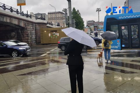 Дождь ждут во Владивостоке завтра