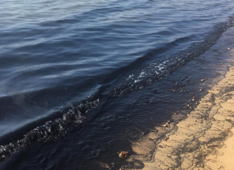 Водоканал испортил море в курортном районе Приморья