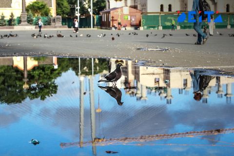 Кратковременные дожди смочат Приморье на выходных