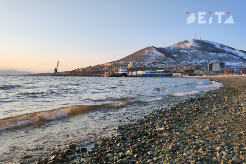 Очередное загрязнение Авачинской бухты расследуют на Камчатке