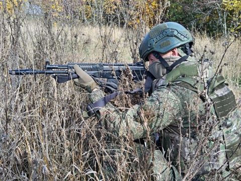 ВС РФ освободили Шабельное, Толстодубово и Егоровку на разных направлениях
