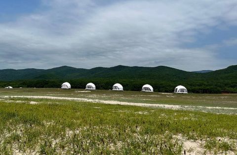 Шесть туристических проектов получили субсидии в Приморье