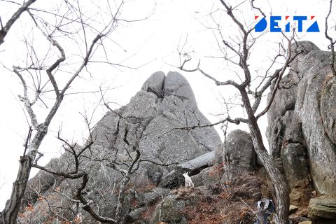 В Приморье на выходных ожидается первый мокрый снег