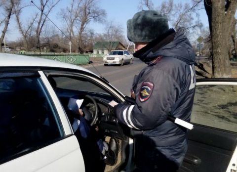 Больной, а не пьяный: езду «под лекарствами» хотят приравнять к нетрезвому вождению