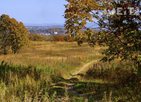 Опасные рецидивисты: кто вредит Дальнему Востоку
