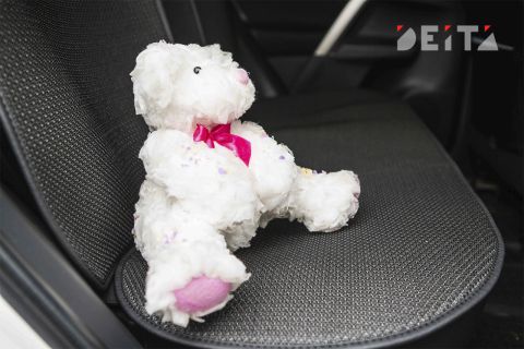 Штрафы за неправильную перевозку детей ужесточили в России