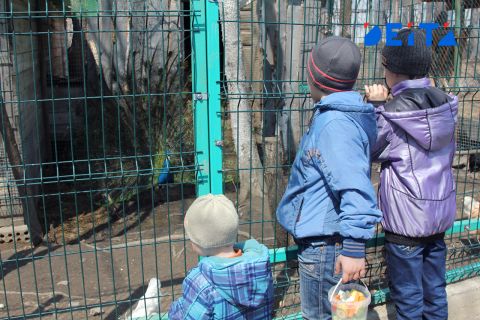 Увеличить маткапитал для некоторых регионов предложили в Госдуме