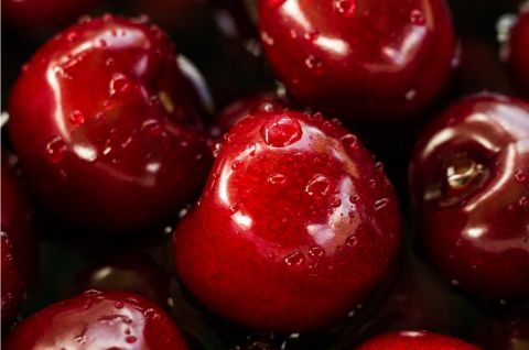 Запорожье накормит россиян черешней