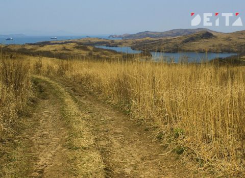 Двух браконьеров за день поймали в Приморье