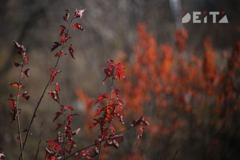 Дождь со снегом и осенняя прохлада ждут Приморье в первый день ноября