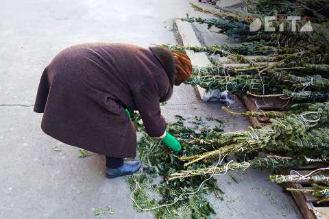 Живые елки не нужны россиянам