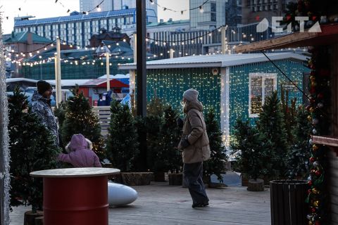 Умеренный мороз и немножко снега: какой будет погода в новогодние каникулы