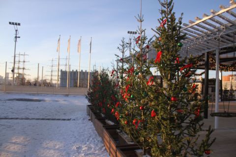 Фото-репортаж: Рай интроверта: 1 января на центральной площади Владивостока