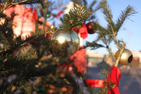 Фото-репортаж: Рай интроверта: 1 января на центральной площади Владивостока