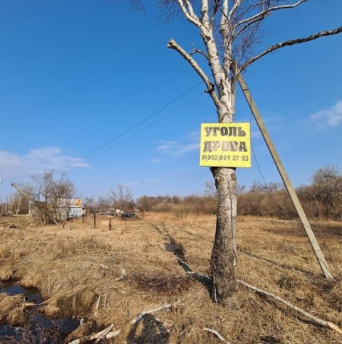 Фото-репортаж: Падающие столбы снова угрожают артёмовцам