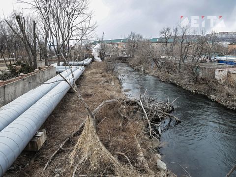 Фото-репортаж: Фекальная река у элитного ЖК: что не так в истории со Спортивной