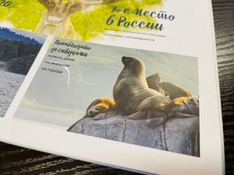 Фото-репортаж: "И нет, и нельзя": Камчатка осталась без любимой достопримечательности