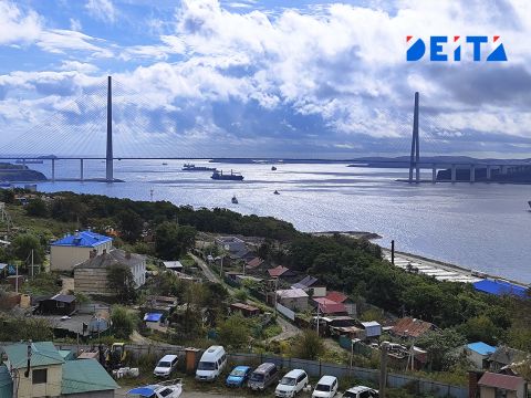 Фото-репортаж: Владивосток берут в капкан человейников