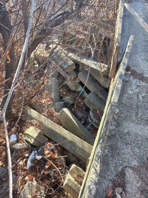 Фото-репортаж: "Народную тропу раздора" проверяют представители мэрии Владивостока