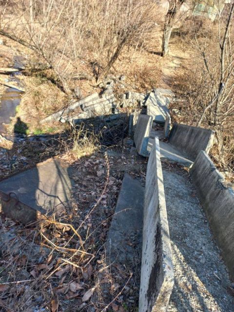 Фото-репортаж: "Народную тропу раздора" проверяют представители мэрии Владивостока