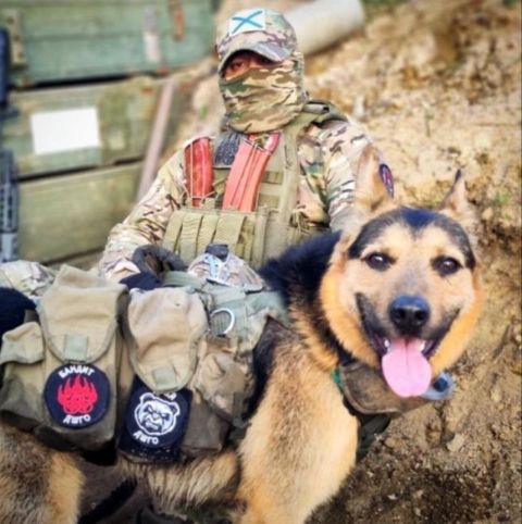 Фото-репортаж: Талисман приморских морпехов получил ранение в зоне СВО