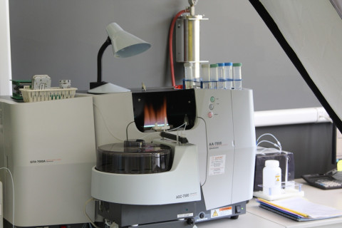 Фото-репортаж: «Для Владивостока это фантастика»: иностранные гости высоко оценили проект ТОР