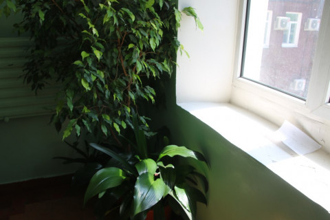 Фото-репортаж: Работу управляющих компаний города по обработке подъездов проверили во Владивостоке