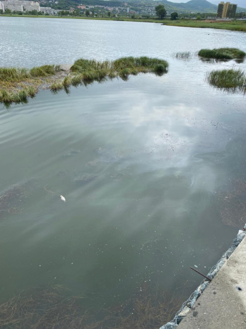 Фото-репортаж: Губернатора в Находке встретили в лучших традициях итальянской мафии