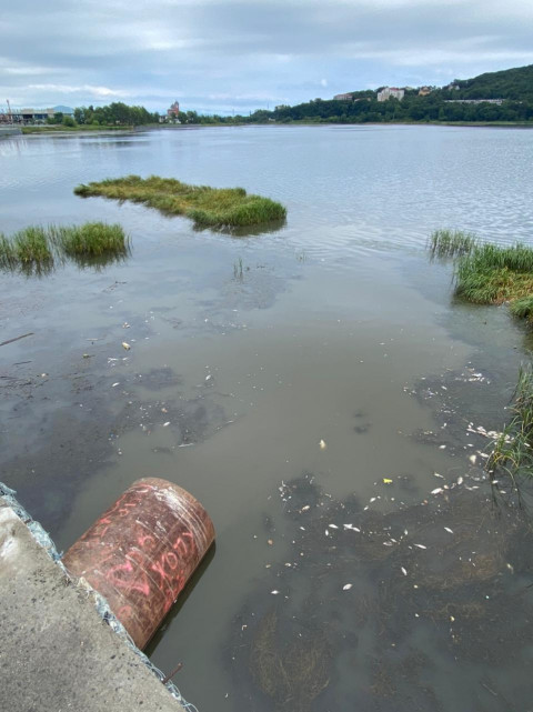 Фото-репортаж: Губернатора в Находке встретили в лучших традициях итальянской мафии