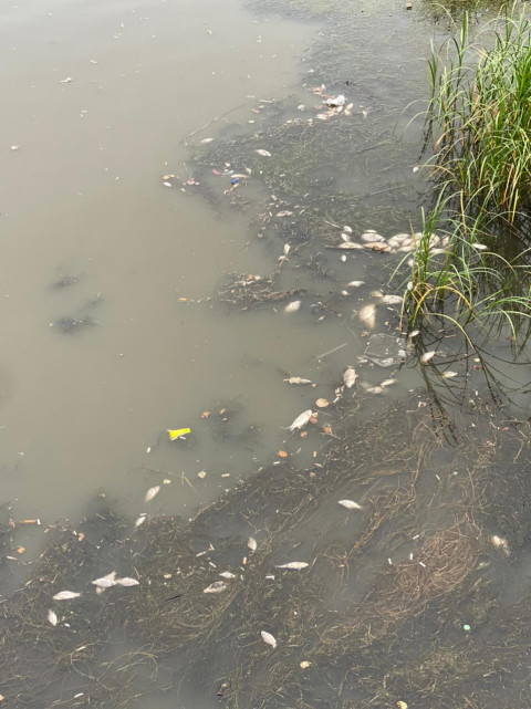 Фото-репортаж: Губернатора в Находке встретили в лучших традициях итальянской мафии